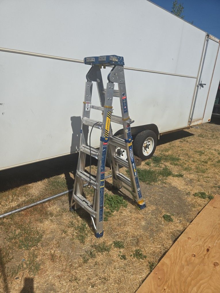 Werner Multi Max Pro Ladder