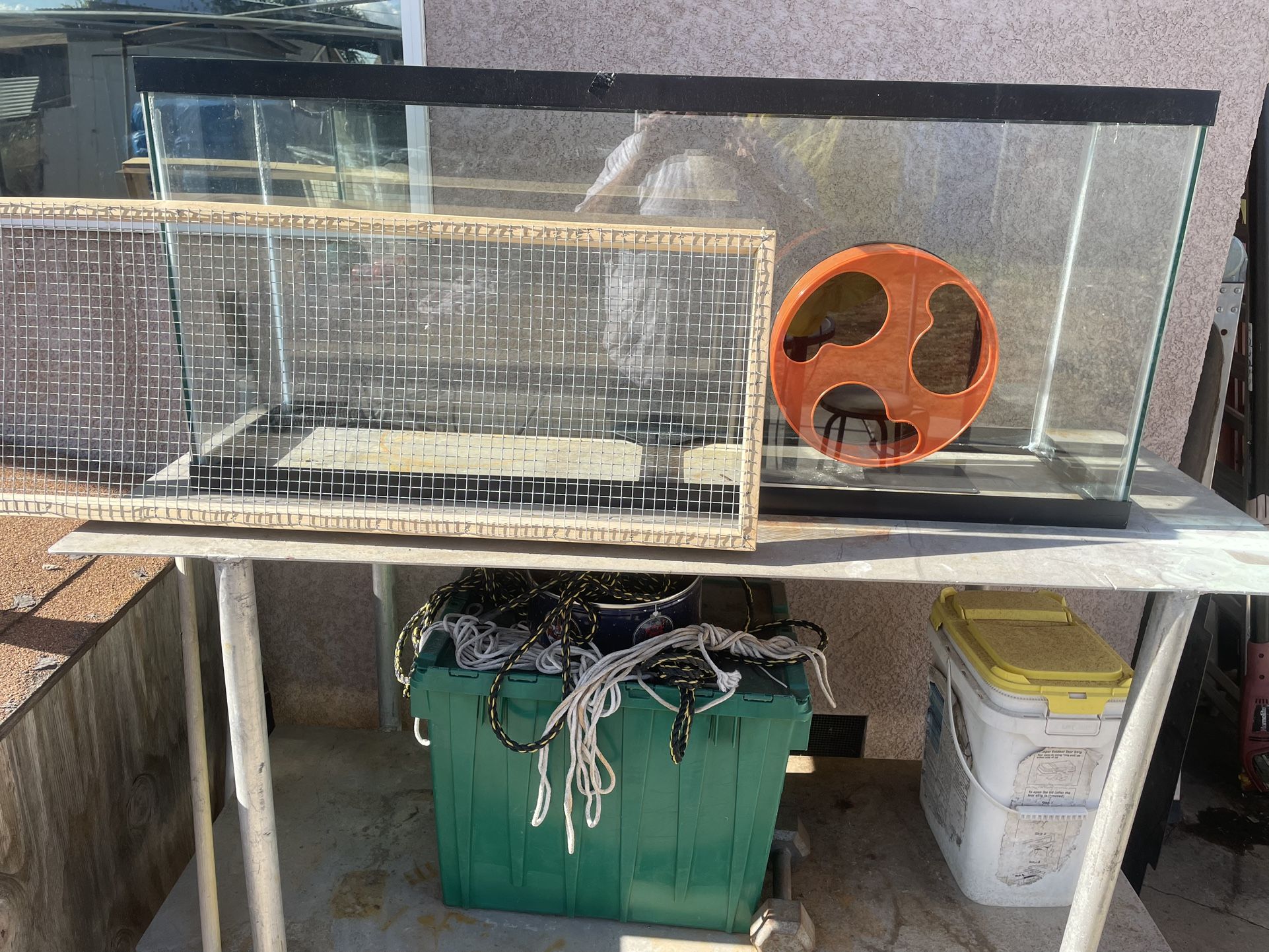 Fish Tank 