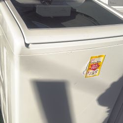 Bonita. Labadora Tina Grande Con Garantía 