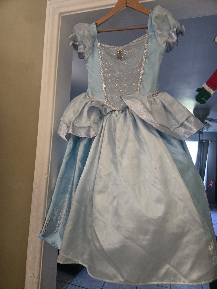 Cinderella Costume