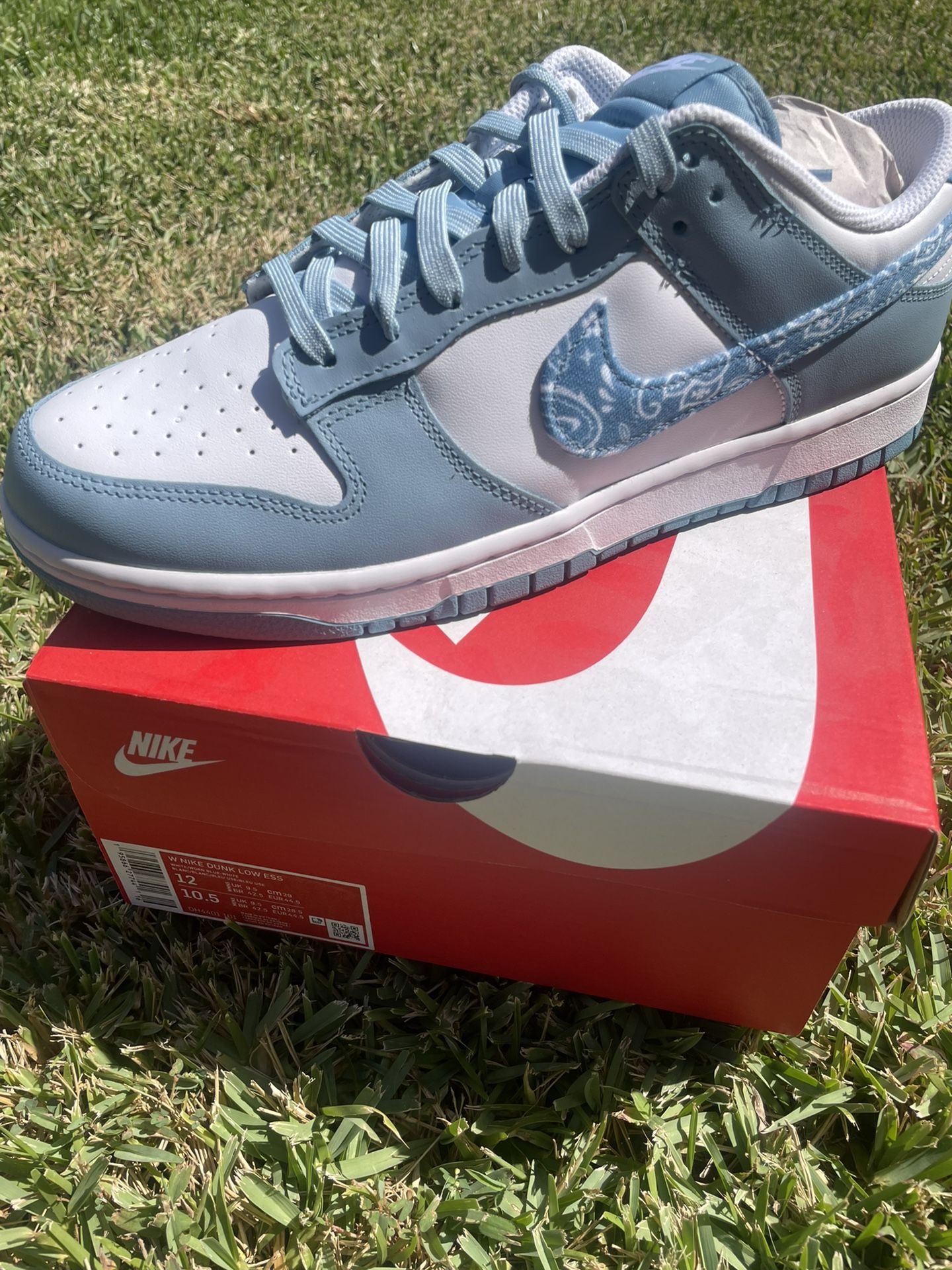 Nike Dunk Paisley