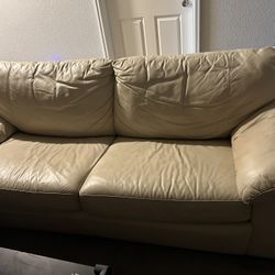 Leather Pull Out Couch