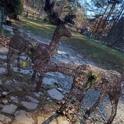 Christmas deer 