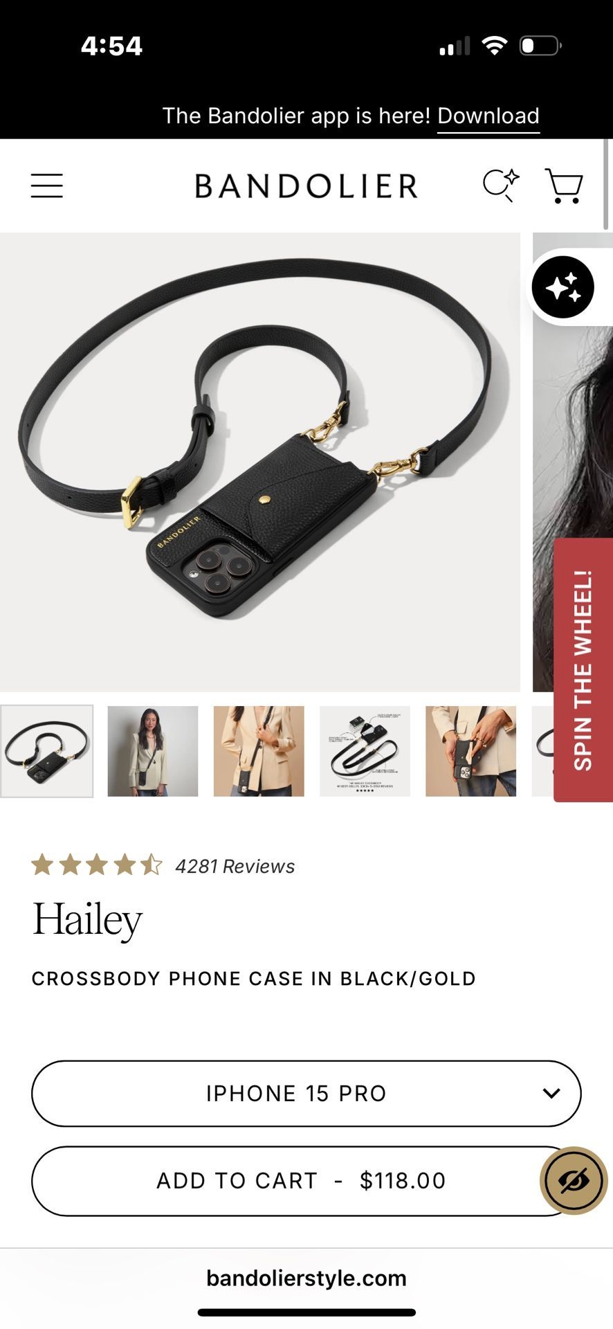 Hailey || CROSSBODY PHONE CASE IN BLACK/GOLD (iPhone 15)