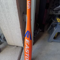 Easton Bat - 31”