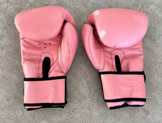 PBS Pro Boxing Supplies Pink Boxing Gloves – 10 oz