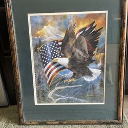American Eagle Portrait