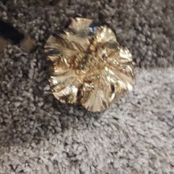 Gay Boyer Belt Buckle It Is Set