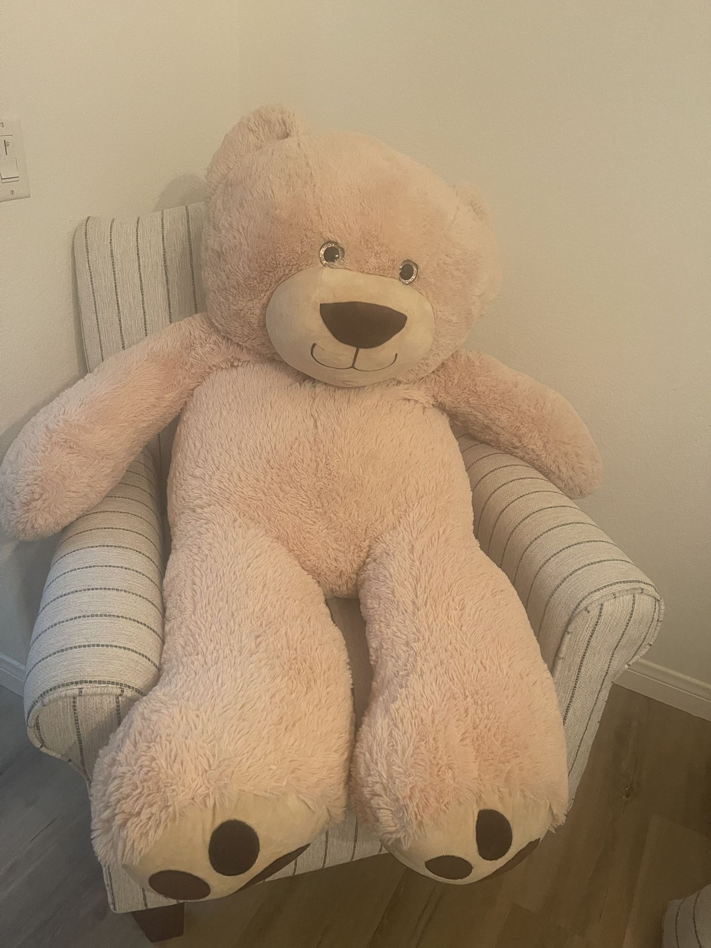Teddy Bear