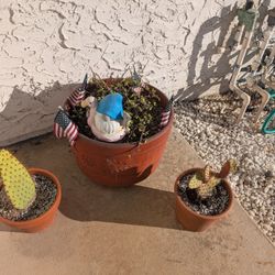 Large terra cotta planter with a small succulent plant And Two Cactus With Pots