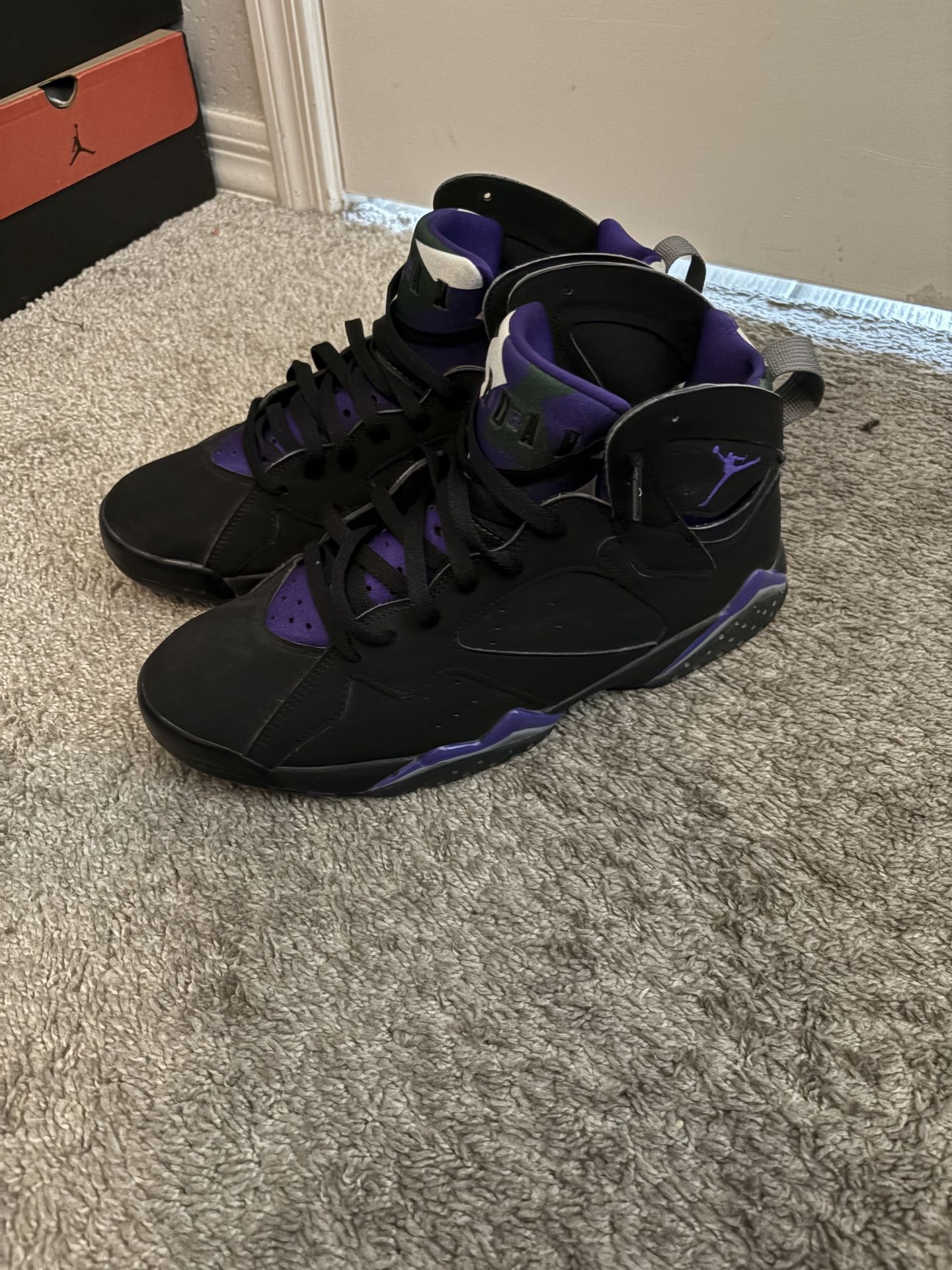 Jordan 7 Ray Allen PE