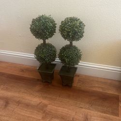 Topiary Tree Set Of 2 Only$25.00!!!!!