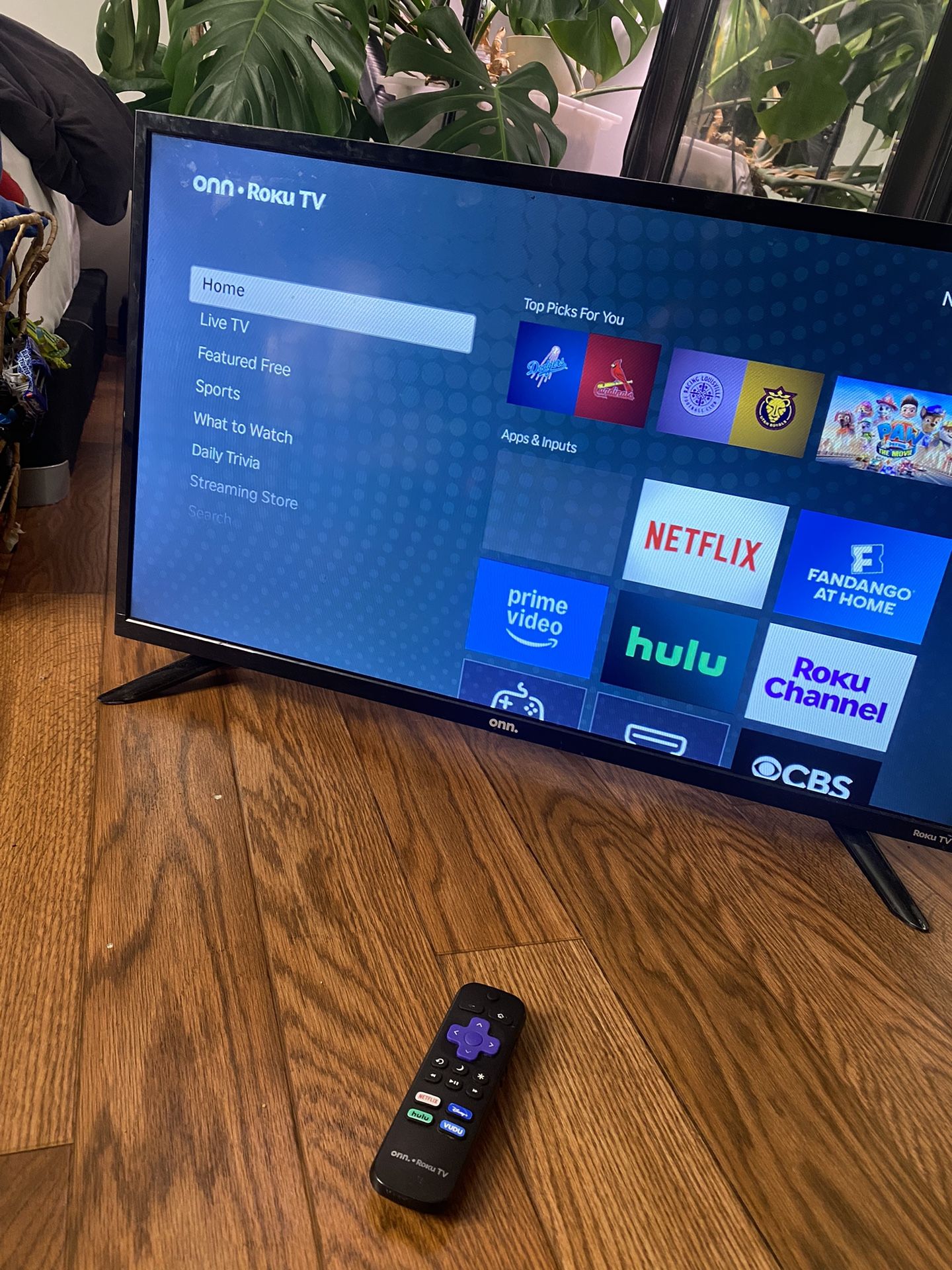 Roku Tv