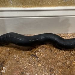 🏎️ NISSAN 370Z Oem Factory Upper Radiator Hose