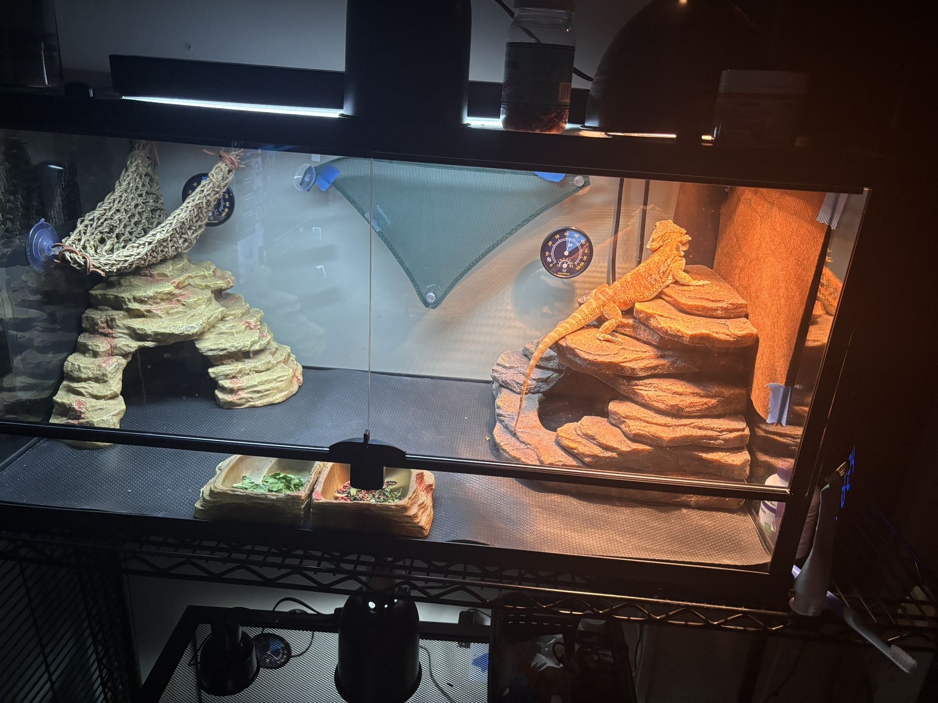 40gal Terrarium With Lights 