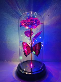 Order now before they’re gone 🔥🔥🔥🔥🔥🔥    🎁Pick up anytime will deliver if in Corpus Christi❣️❣️ ‼️Get Them Before They are Gone❣️ 💝❤️❣️❤️❣️❤️❣️