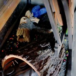 Fish Tank With Decorations