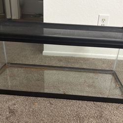 Snake Tank 20 Gallon with locks