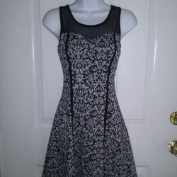 Small Stretch Dress