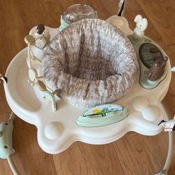 Baby Activity Center 