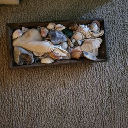 $3 Seashell With Sand Home Decor In Humble, Tx