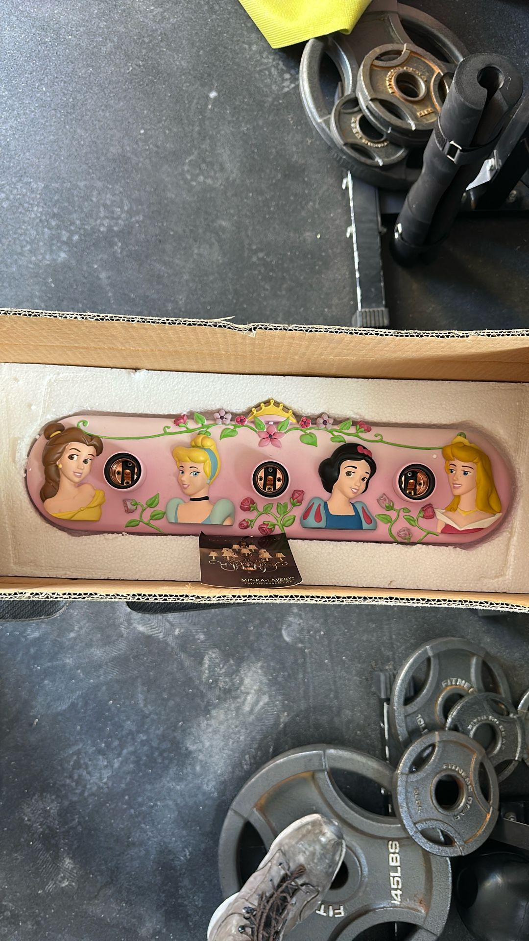 Disney Princess Lights