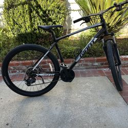 Giant Bike