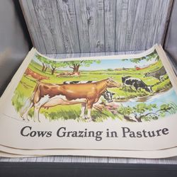 National Dairy council posters- lot of 9