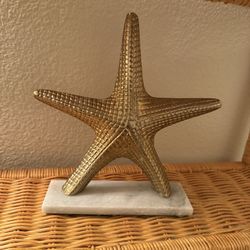 Starfish Gold Marble bottom Solid / Seashells in a jar
