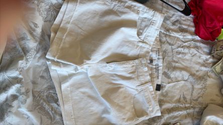 Torrid Shorts