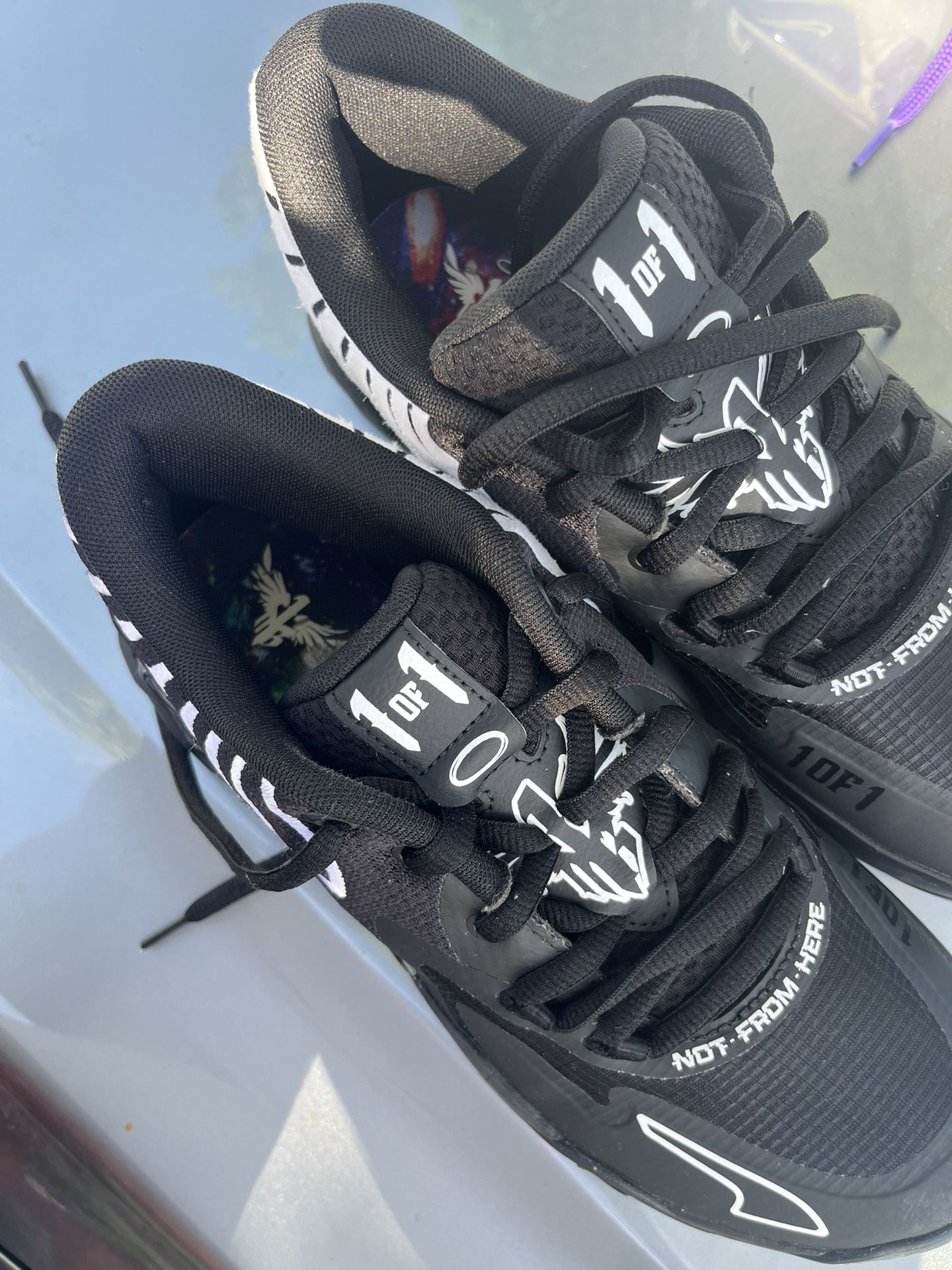 Puma