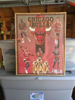 Chicago Bulls sign