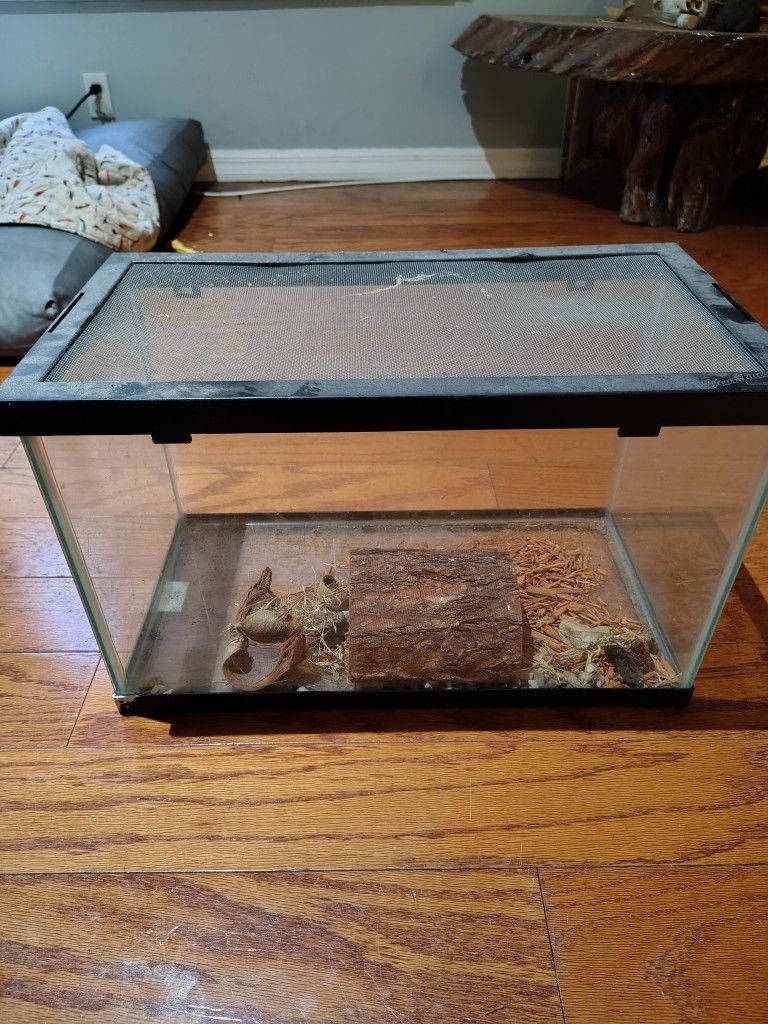 12 Gallon Fish/Reptile Aquarium 