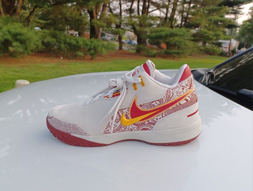 Brand New And Original Men's Nike Air LeBron James Sneakers Size 11