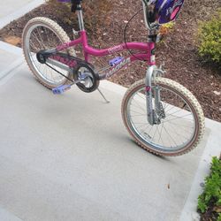 Magna Girls Bike 