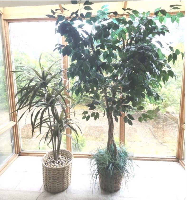 Tall Faux Plants Warm Up Home Or Office