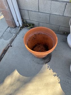 Clay pot