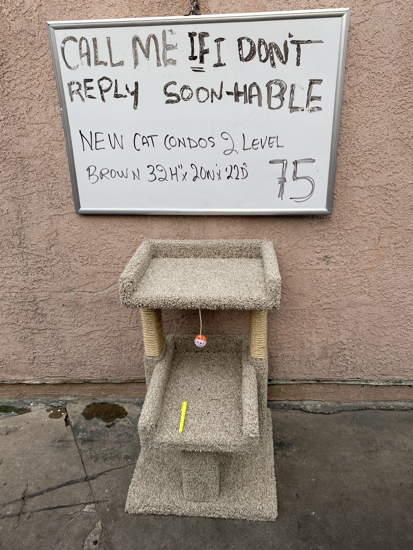 New Cat Condos