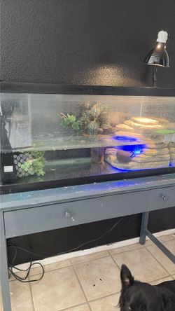 Fish tank