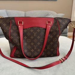Louis Vuitton Carry Bag