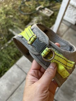 Small Dog Leash 