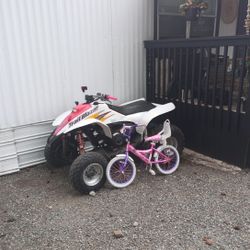 Polaris Trail Blazers 250 2-Stroke 