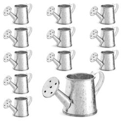 12-Pack Mini Galvanized Watering Can, Decorative Mini Watering Can for Crafts