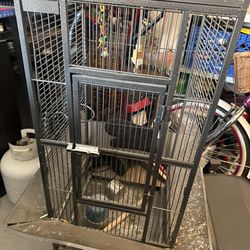 Bird Cage