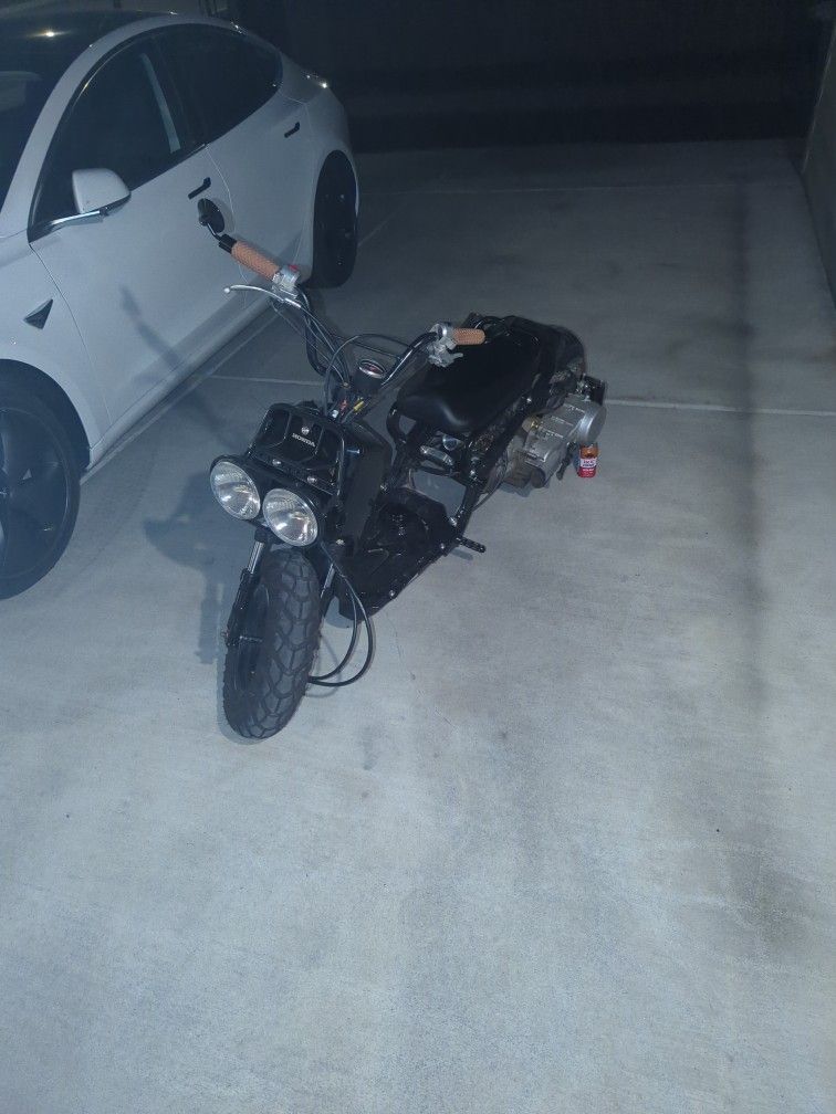 2006 Honda Ruckus