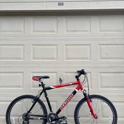 Giant Iguana Mountain Bike - Large Frame - 26” Wheels - Men’s Bicycle