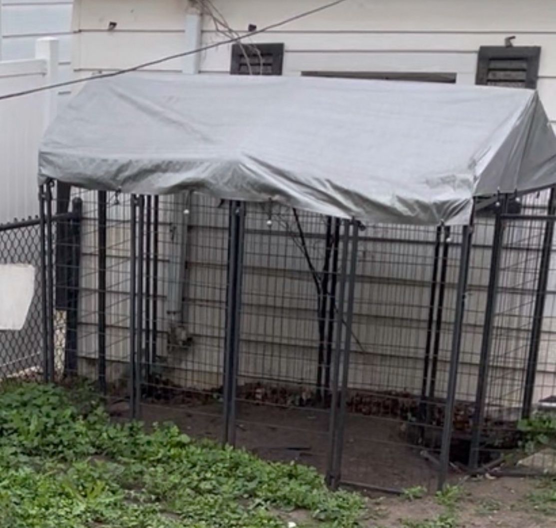 Dog Kennel 