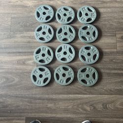 1 Inch Diameter 5lbs Plates