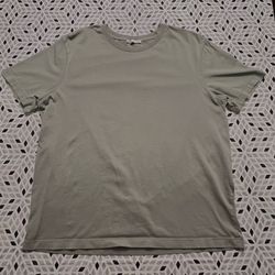 Zara Heavyweight Cotton Crewneck T-Shirt in Sage Green