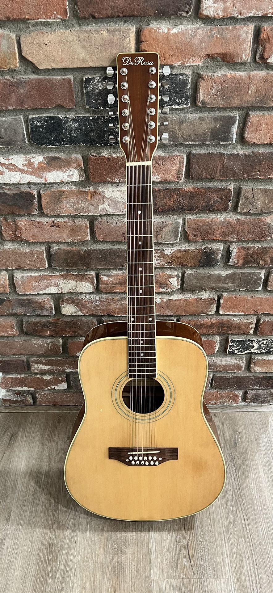 Acoustic 12 String Guitar 